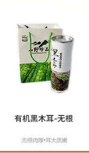 热门拍品5_黑木耳